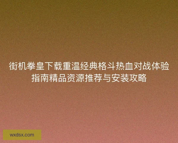 街机拳皇下载重温经典格斗热血对战体验指南精品资源推荐与安装攻略