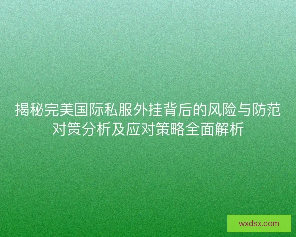 揭秘完美国际私服外挂背后的风险与防范对策分析及应对策略全面解析