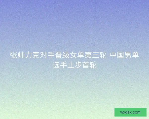 张帅力克对手晋级女单第三轮 中国男单选手止步首轮