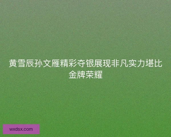 黄雪辰孙文雁精彩夺银展现非凡实力堪比金牌荣耀